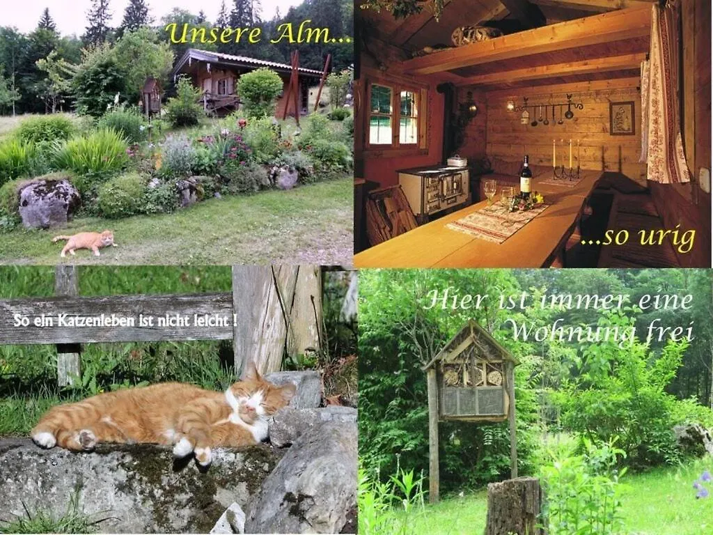 Waterval In Het Huis Boshoek Aschau im Chiemgau Semesterbostad